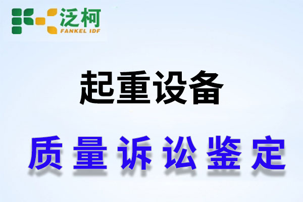 起重设备诉讼鉴定.jpg